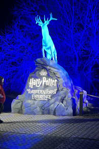 Photo 5 from Harry Potter: A Forbidden Forest Experience
