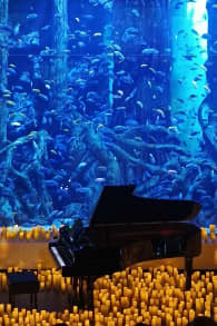 Photo 0 from Candlelight: Tributo a la Oreja de Van Gogh