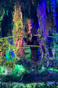 Photo 0 from Monet: The Immersive Experience