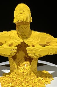 Photo 0 from The Art of the Brick : Exposition d'art en LEGO®