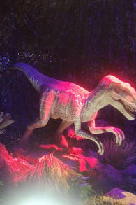 Photo 2 from Dinos Alive: An Immersive Experience