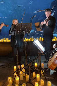 Photo 0 from Candlelight: A Tribute to Pink Floyd