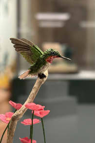 Photo 14 from Small is Beautiful: Miniature Art Exhibition