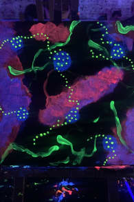 Photo 6 from Neon Brush: Sip and Paint Workshop in the Dark
