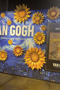 Photo 8 from Van Gogh: The Immersive Experience