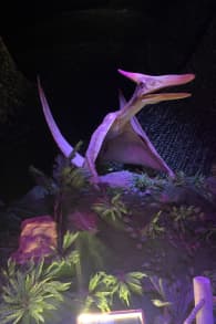 Photo 8 from Dinos Alive: An Immersive Experience