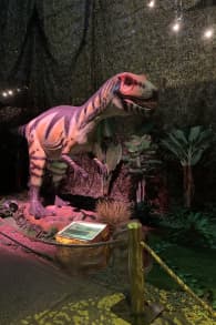 Photo 7 from Dinos Alive: An Immersive Experience
