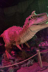 Photo 6 from Dinos Alive: An Immersive Experience