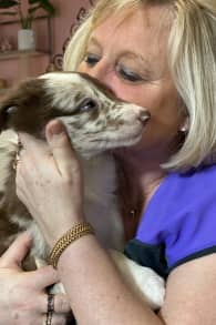 Photo 0 from Puppy Yoga Club au Mama Shelter de Lille