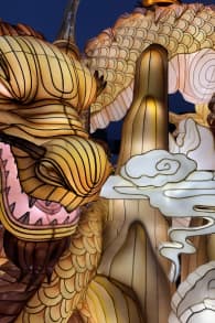 Photo 0 from Winter Lantern Festival - Washington DC
