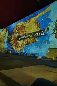 Photo 1 from Van Gogh: The Immersive Experience
