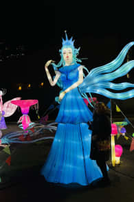 Photo 3 from Winter Lantern Festival - Washington DC