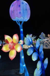 Photo 2 from Winter Lantern Festival - Washington DC