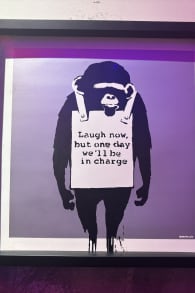 Photo 3 from The Art of Banksy: "Without Limits" Exhibition