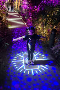 Photo 0 from Harry Potter: A Forbidden Forest Experience