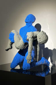 Photo 9 from The Art of the Brick : Exposition d'art en LEGO®