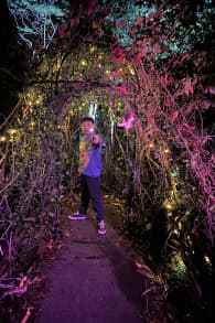 Photo 8 from Harry Potter: A Forbidden Forest Experience