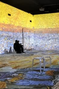 Photo 4 from Van Gogh Experience: The Exhibition