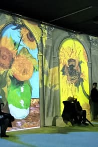 Photo 2 from Van Gogh Experience: The Exhibition