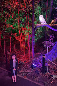 Photo 3 from Harry Potter: A Forbidden Forest Experience