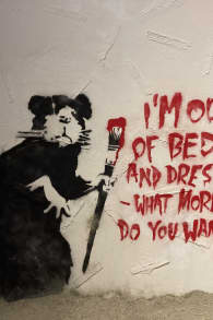 Photo 9 from ﻿The Banksy Museum: immersion in the work of the street artist