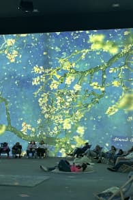 Photo 4 from Van Gogh: The Immersive Experience