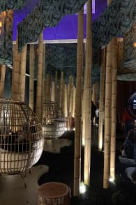 Photo 1 from Dopamine Land: A Multisensory Experience