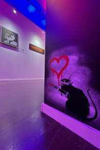 Photo 4 from The Art of Banksy: "Without Limits" Exhibition