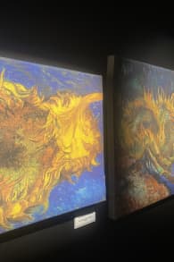 Photo 2 from Van Gogh: The Immersive Experience