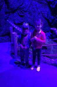 Photo 7 from Dinos Alive: An Immersive Experience
