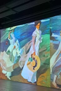 Photo 3 from Sorolla, una nueva dimensión