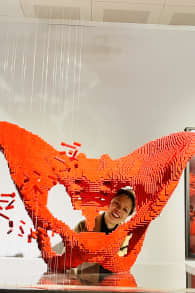 Photo 8 from The Art of the Brick : Exposition d'art en LEGO®