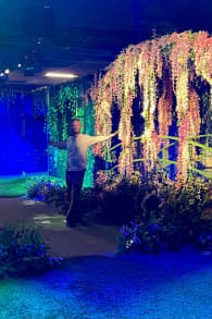 Photo 4 from Monet: The Immersive Experience