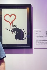 Photo 2 from The Art of Banksy: "Without Limits" Exhibition