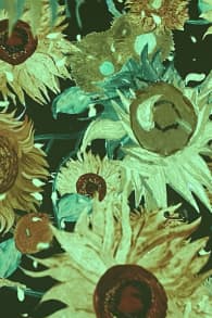 Photo 3 from Van Gogh: The Immersive Experience