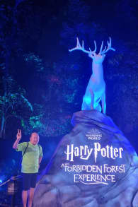 Photo 7 from Harry Potter: A Forbidden Forest Experience