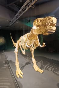 Photo 11 from The Art of the Brick : Exposition d'art en LEGO®
