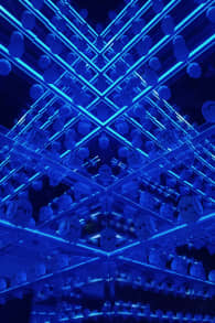 Photo 10 from The Art of the Brick : Exposition d'art en LEGO®