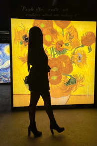 Photo 8 from Van Gogh Experience: The Exhibition