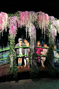 Photo 5 from Monet: The Immersive Experience