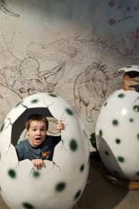 Photo 9 from Dinos Alive: An Immersive Experience