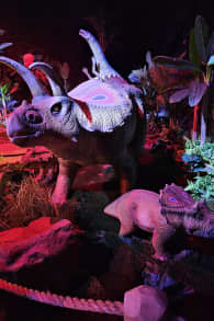 Photo 8 from Dinos Alive: An Immersive Experience
