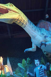 Photo 7 from Dinos Alive: An Immersive Experience
