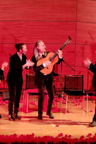 Photo 0 from We call it Flamenco: a unique Spanish dance show