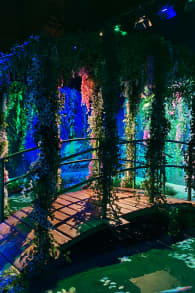 Photo 4 from Monet : The Immersive Experience
