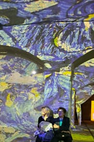 Photo 0 from Living Van Gogh