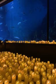 Photo 0 from Candlelight: A Tribute to Taylor Swift