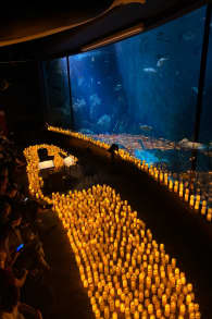 Photo 1 from Candlelight: A Tribute to Taylor Swift