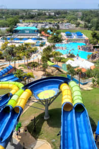 Photo 4 from Adventure Island Tampa Bay