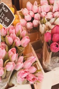 Photo 4 from London Notting Hill: Self-Guided Podcast Walking Tour